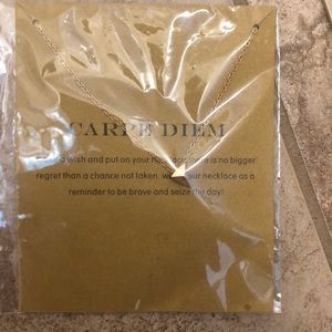 Carpe Diem Necklace Brand New